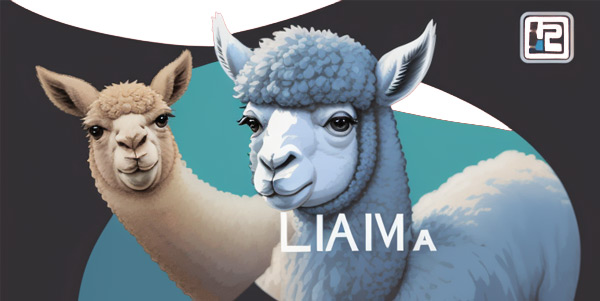 Code Llama