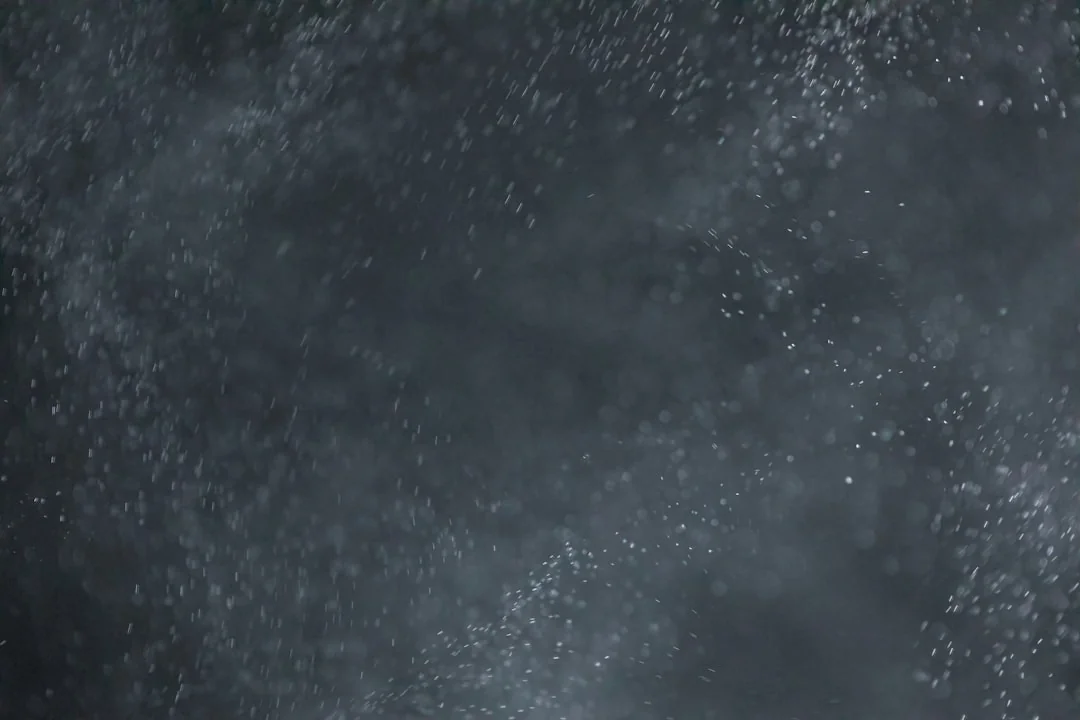 Bannerbear: My Experience